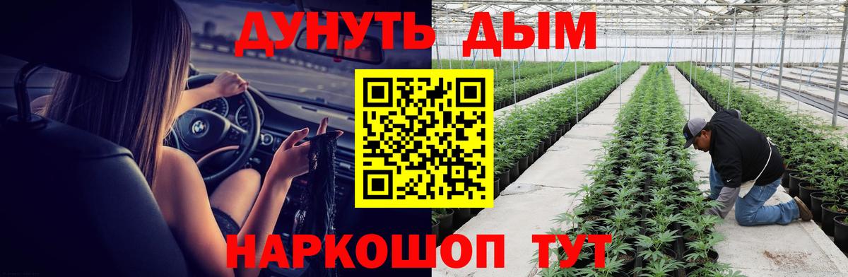 Бошки марихуана планчик Новочебоксарск